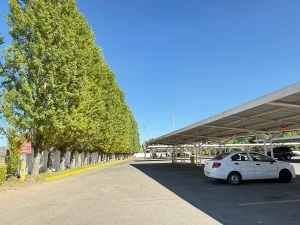 Supermercados La Fama - Santa Cruz