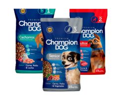 Alimento Champion Dog